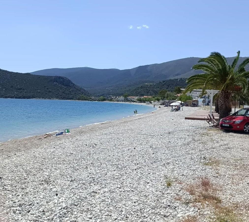 Alexadra'S House Κάτω Αλμυρή Apartment Luaran gambar